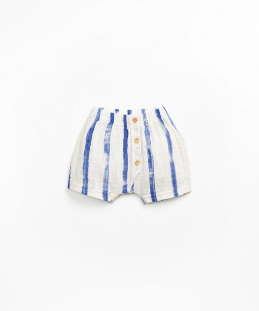 Blue Striped Shorts
